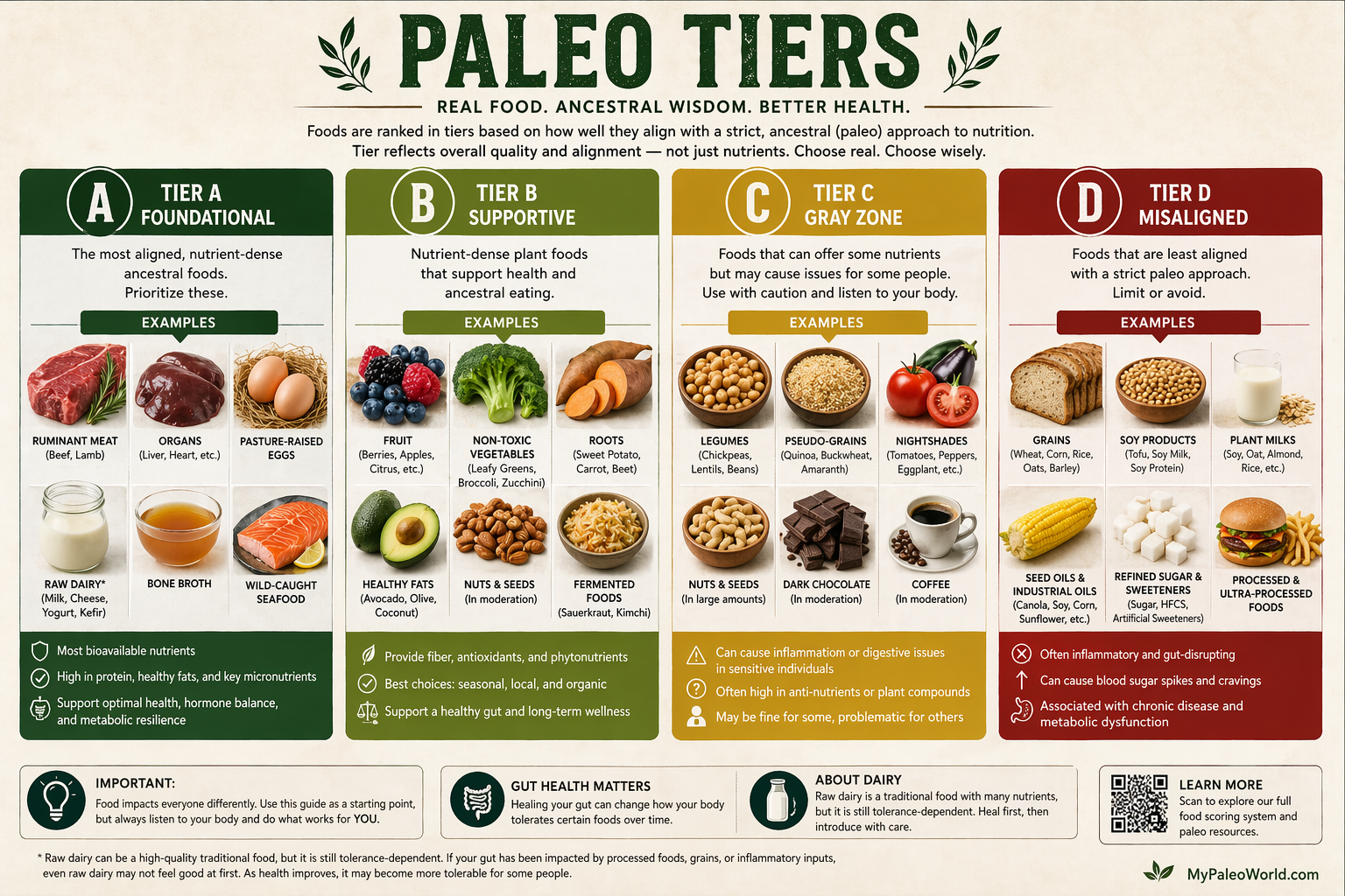 paleo-food-tiers-infographic